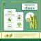 Properties of green beans