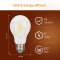 หลอด LED Vintage Filament Bulb 6W E27 Warm white 2700K (YTFA30-CL)