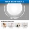 หลอด LED BULB 12W E27