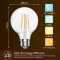หลอด LED Vintage Filament ฺ Bulb  6W E27  Warm white 2700K (ทรงกลม)