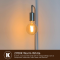 หลอด LED Vintage Filament ฺ Bulb  6W E27  Warm white 2700K (ทรงกลม)