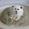 POLAR BOLAR