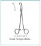 Surgical Haemostatic Forceps