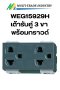 WEG15929H เต้ารับคู่ 3 ขา พร้อมกราวด์