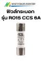 ลูกฟิวส์ / ฟิวส์กระบอก  รุ่น RO15 CCS 6A