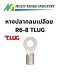 หางปลากลมเปลือย R6-8 TLUG