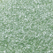 Jewel Dust : LEAF GREEN 4g