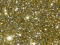 Disco Glitter : GOLD 5g