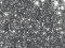 Disco Glitter : SILVER 5g