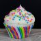 น้ำตาลตกแต่ง - Edible Pastel  Confetti (USA)บรรจุ 100 กรัม (ขนาดเล็ก)