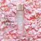 Estee Lauder Micro Essence Sakura 200ml
