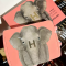 HOURGLASS Ambient Lighting Edit Unlocked - Elephant Palette Christmas (Limited Edition)