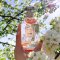 Coach Dreams Eau de Parfum 40ml.