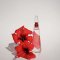 Issey Miyake L'Eau d'Issey Pure Shade of Flower 90ml.