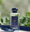 JO MALONE rose & magnolia Cologne 100ml
