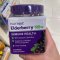 Natrol Elderberry 100mg Immune Health GUMMIES (60 เม็ด)