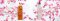 Fresh Rose Deep Hydration Facial Toner 250ml.