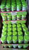 Kirkland Signature Adult Multivitamin Gummies 160 gummies (เนื่องจากอากาศร้อน อาจจะละลายเล็กน้อย)