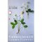 หนังสือสอนงานปักดอกไม้ Embroidered Garden Flowers **พิมพ์ญี่ปุ่น (สินค้าหมด-รับสั่งจอง) 