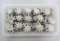 Frozen Tumbled Poulp Squid