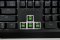 KEYBOARD (คีย์บอร์ด) RAZER BLACKWIDOW MECHANICAL GAMING KEYBOARD (GREEN SWITCH) (คีย์ TH/EN) P11920