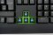 KEYBOARD (คีย์บอร์ด) RAZER BLACKWIDOW ULTIMATE 2013 (BLUE SWITCH) (คีย์ EN) P11922