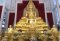 ว่าด้วยเรื่องของ ดาวเรือง ดอกไม้ถวายพระ