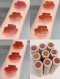 Glossy Lasting Tint