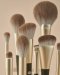 Warm and Gray brush set