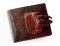 Genuine Tail Crocodile Leather Wallet in Dark Brown Crocodile Leather #CRM450W