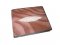 Genuine Stingray Leather Wallet in Brown Wave Design  #STM497W