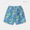 Men's  Summer Shorts