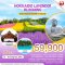 ทัวร์ญี่ปุ่น ทัวร์ญี่ปุ่น 2566 โปรโมชั่นเที่ยวญี่ปุ่นราคาถูก