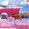 ทัวร์ญี่ปุ่น ทัวร์ญี่ปุ่น 2566 โปรโมชั่นเที่ยวญี่ปุ่นราคาถูก