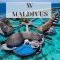 ทัวร์มัลดีฟส์ : W Retreat and Spa Maldives