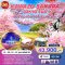 ทัวร์ญี่ปุ่น : TOKYO FUJI KAWAZU SAKURA 6D3N