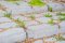 บล็อกหญ้า (ขนาดใหญ่) Grass Block-Large