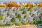 บล็อกกำแพงกันดิน (ขนาดใหญ่) Retaining Wall Block - Large