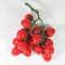 Tomatoes (Red)