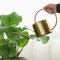 1 Litre Stanless Steel Watering