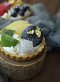 Fruits Tart Model for Decorartion