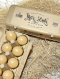 Eggs ECO BOX 10 pcs.