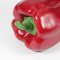 Bell Pepper