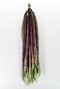 Long Beans (Purple)
