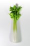 Celery