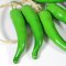 Green Chilli (Pack)