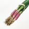 Spring Onion