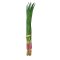 Spring Onion