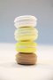 Set of 4, Pastel Macaron Model