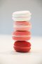 Set of 4, Pastel Macaron Model